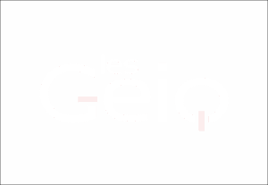 Les Geiq