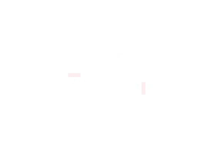Les Geiq